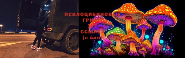 гидра Михайловка
