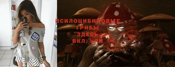 ГАЛЛЮЦИНОГЕННЫЕ ГРИБЫ Медвежьегорск