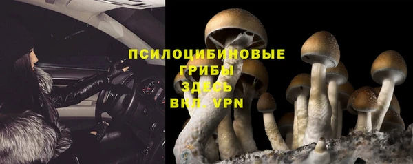 ГАЛЛЮЦИНОГЕННЫЕ ГРИБЫ Медвежьегорск