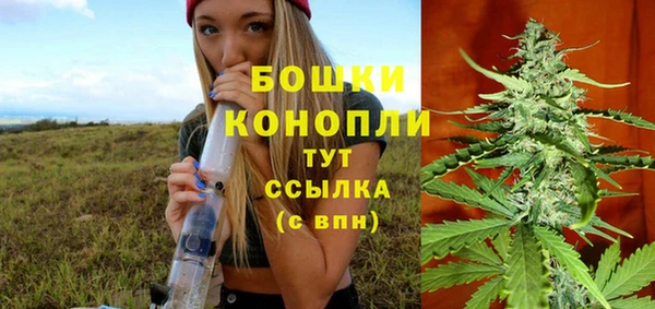 ГАЛЛЮЦИНОГЕННЫЕ ГРИБЫ Медвежьегорск