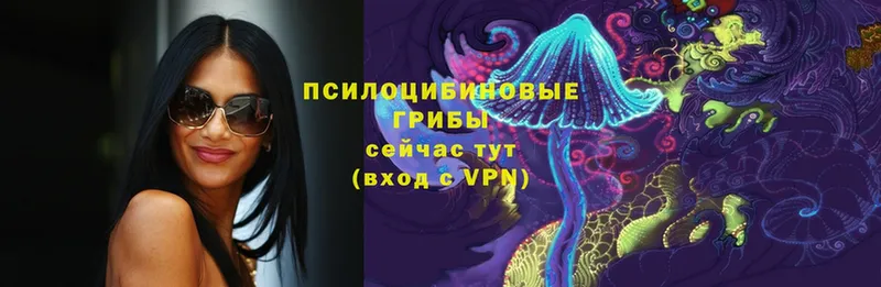 Галлюциногенные грибы Cubensis  Югорск 