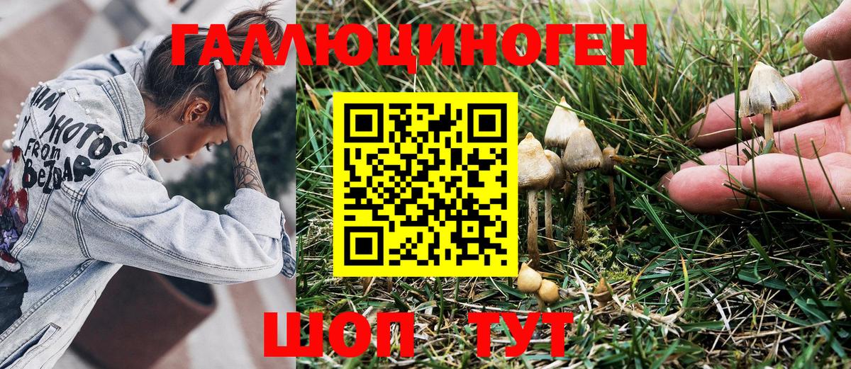 Псилоцибиновые грибы мухоморы  Югорск 