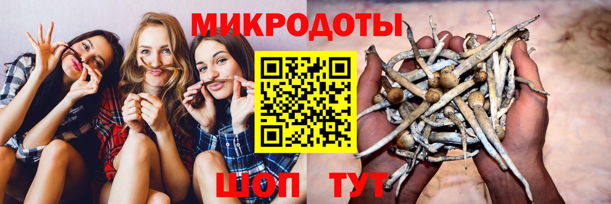 Псилоцибиновые грибы GOLDEN TEACHER  Вход с VPN  Югорск  Галлюциногенные грибы мухоморы 