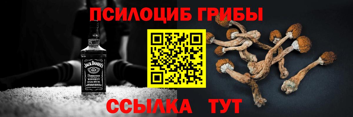 Галлюциногенные грибы GOLDEN TEACHER Югорск